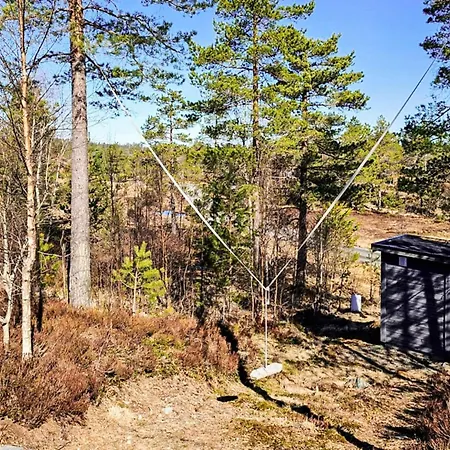 11 Person In Hornnes