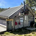 11 Person In Hornnes