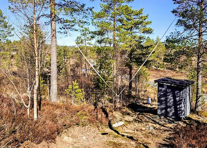 11 Person In Hornnes